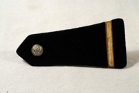 Brigadier PM